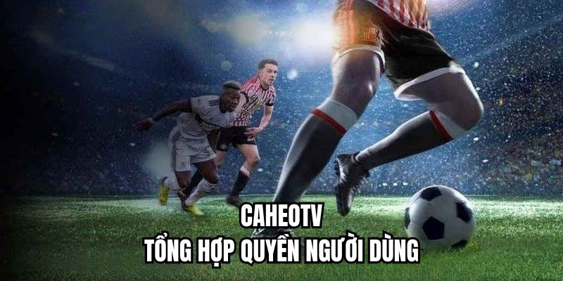 Nội dung tổng hợp quyền của người hâm mộ tại CaheoTV