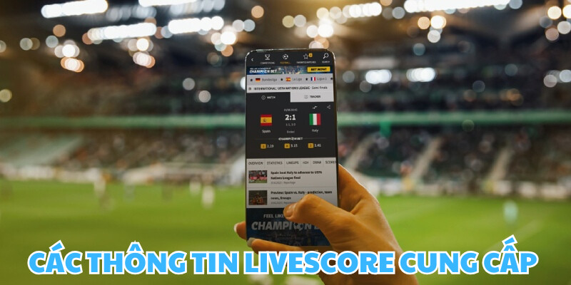 Livescore sẽ cung cấp những thông tin nào?