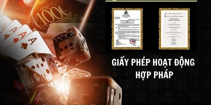 Giấy phép hoạt động 7m